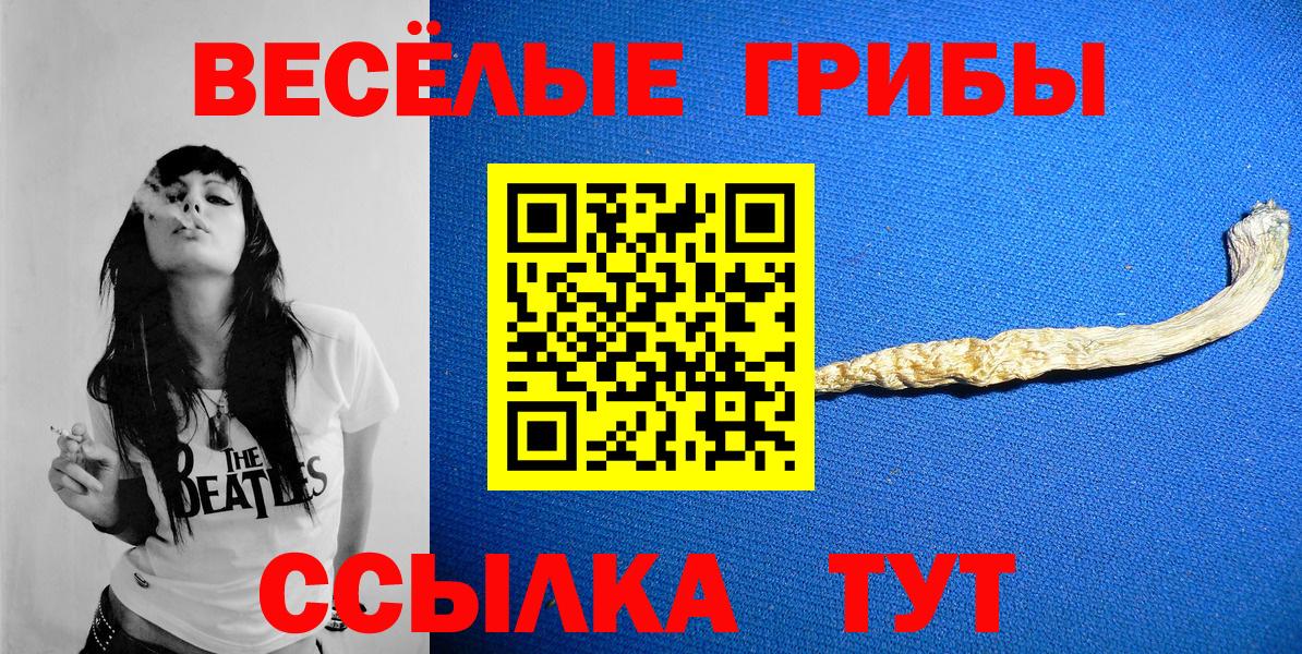 Псилоцибиновые грибы Cubensis  Псилоцибиновые грибы Psilocybine cubensis  Волгодонск  Вход с VPN 